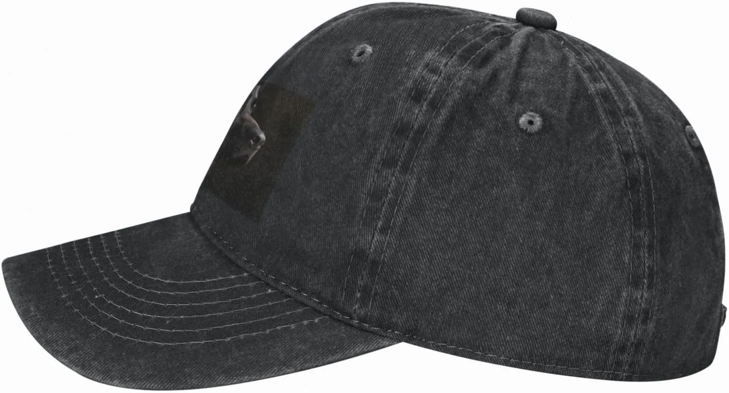 Black Labrador Unisex Baseball Cap Breathable Cotton Trucker Hat Classic Denim Dad Hat Summer Sun Hat